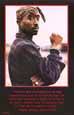 Buy Tupac - Bandana at AllPosters.com